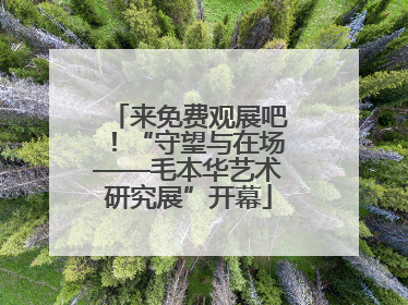 来免费观展吧！“守望与在场——毛本华艺术研究展”开幕