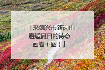 来德兴市新岗山 邂逅夏日的诗意画卷（图）