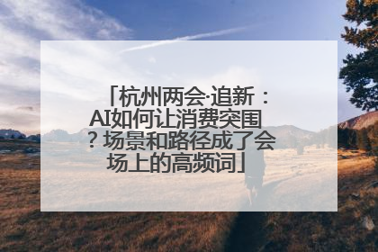 杭州两会·追新：AI如何让消费突围？场景和路径成了会场上的高频词