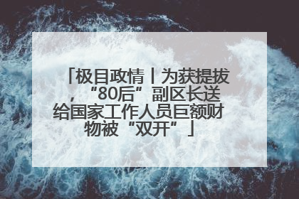 极目政情丨为获提拔，“80后”副区长送给国家工作人员巨额财物被“双开”