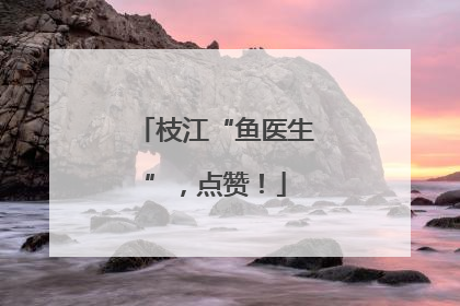 枝江“鱼医生”，点赞！