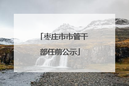 枣庄市市管干部任前公示