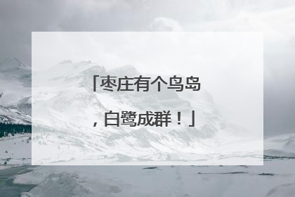 枣庄有个鸟岛，白鹭成群！