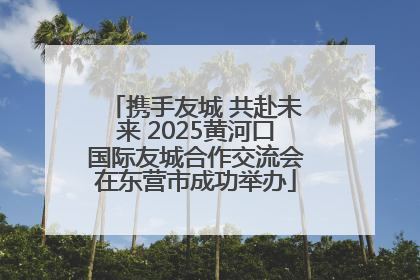 携手友城 共赴未来 2025黄河口国际友城合作交流会在东营市成功举办