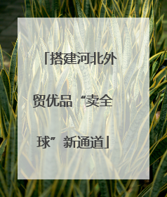 搭建河北外贸优品“卖全球”新通道