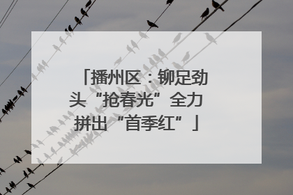 播州区：铆足劲头“抢春光”全力拼出“首季红”
