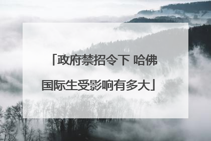 政府禁招令下 哈佛国际生受影响有多大
