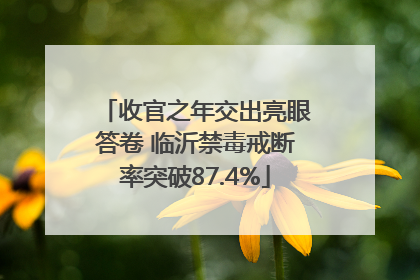收官之年交出亮眼答卷 临沂禁毒戒断率突破87.4%