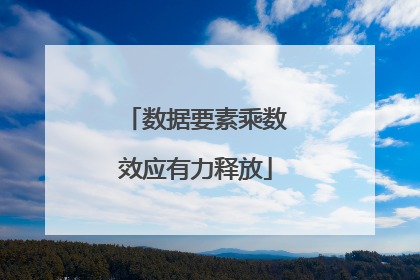 数据要素乘数效应有力释放