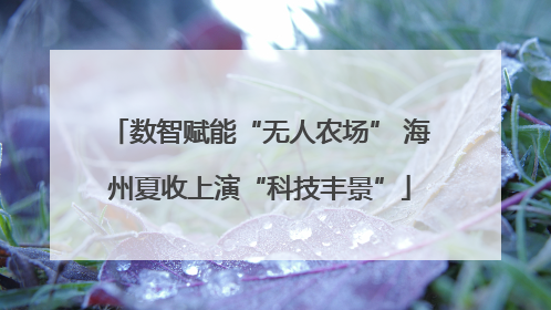 数智赋能“无人农场” 海州夏收上演“科技丰景”