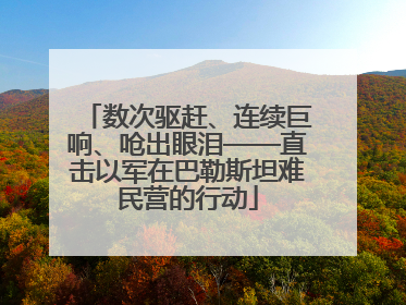 数次驱赶、连续巨响、呛出眼泪——直击以军在巴勒斯坦难民营的行动