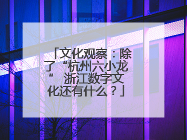 文化观察：除了“杭州六小龙” 浙江数字文化还有什么？