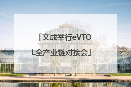 文成举行eVTOL全产业链对接会