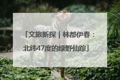 文旅新探｜林都伊春：北纬47度的绿野仙踪