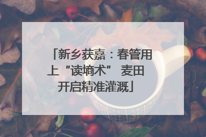 新乡获嘉：春管用上“读墒术” 麦田开启精准灌溉