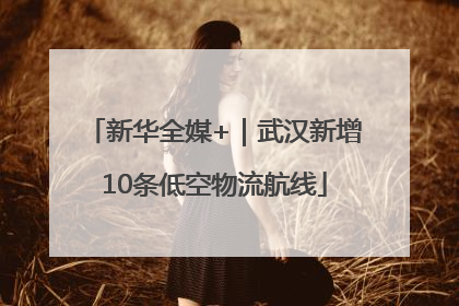 新华全媒+｜武汉新增10条低空物流航线
