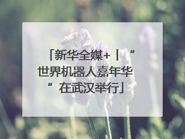 新华全媒+丨“世界机器人嘉年华”在武汉举行
