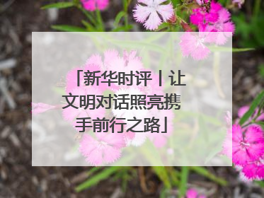 新华时评丨让文明对话照亮携手前行之路