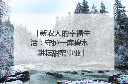 新农人的幸福生活：守护一库碧水 耕耘甜蜜事业