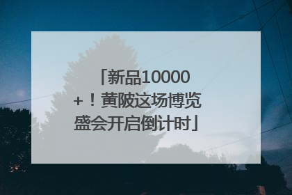 新品10000+！黄陂这场博览盛会开启倒计时