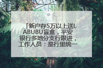 新户存5万以上送LABUBU盲盒，平安银行多地分支行跟进，工作人员：是行里统一的，进货渠道不清楚