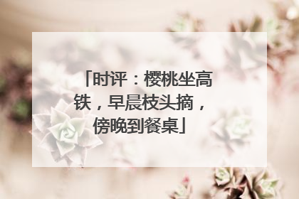 时评：樱桃坐高铁，早晨枝头摘，傍晚到餐桌