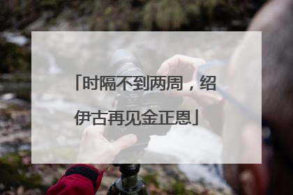 时隔不到两周，绍伊古再见金正恩
