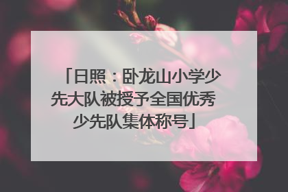 日照：卧龙山小学少先大队被授予全国优秀少先队集体称号