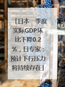 日本一季度实际GDP环比下降0.2%，日专家：预计下行压力将持续存在