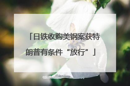 日铁收购美钢案获特朗普有条件“放行”