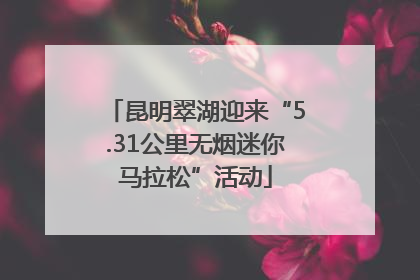 昆明翠湖迎来“5.31公里无烟迷你马拉松”活动