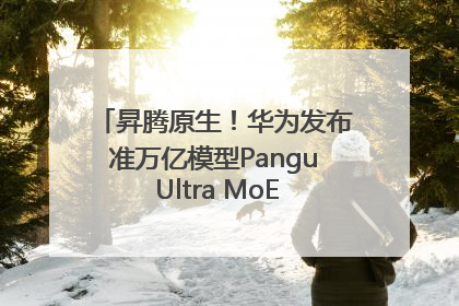 昇腾原生！华为发布准万亿模型Pangu Ultra MoE模型架构和训练细节