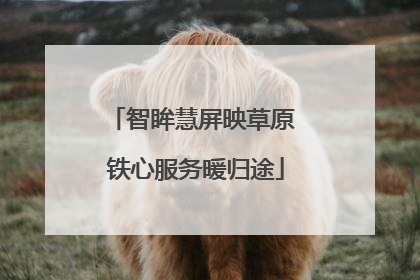 智眸慧屏映草原 铁心服务暖归途