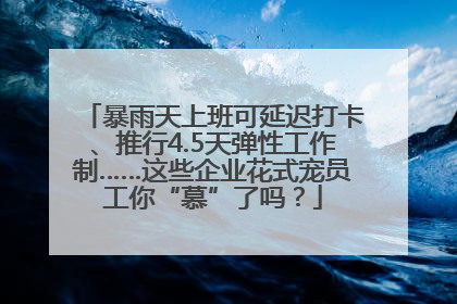 暴雨天上班可延迟打卡、推行4.5天弹性工作制……这些企业花式宠员工你“慕”了吗？