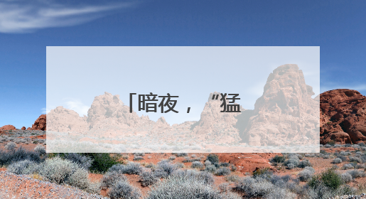 暗夜，“猛龙”出击！