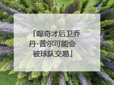 曝奇才后卫乔丹-普尔可能会被球队交易
