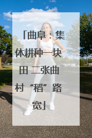 曲阜：集体耕种一块田 二张曲村“稻”路宽