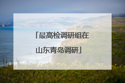 最高检调研组在山东青岛调研