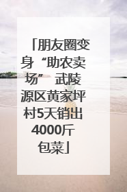 朋友圈变身“助农卖场” 武陵源区黄家坪村5天销出4000斤包菜