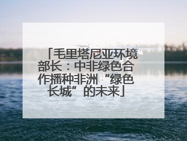 毛里塔尼亚环境部长：中非绿色合作播种非洲“绿色长城”的未来