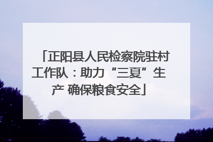 正阳县人民检察院驻村工作队：助力“三夏”生产 确保粮食安全
