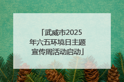 武威市2025年六五环境日主题宣传周活动启动