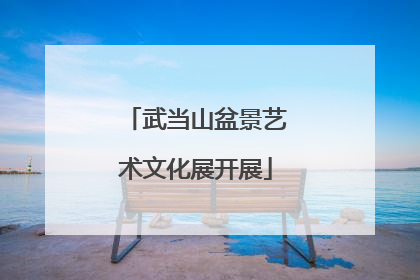 武当山盆景艺术文化展开展