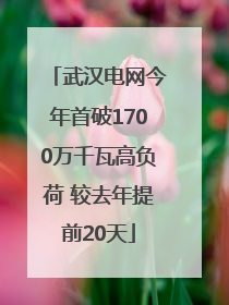 武汉电网今年首破1700万千瓦高负荷 较去年提前20天