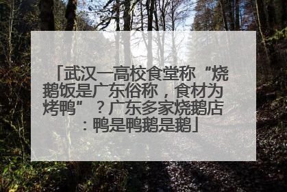 武汉一高校食堂称“烧鹅饭是广东俗称，食材为烤鸭”？广东多家烧鹅店：鸭是鸭鹅是鹅