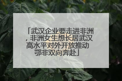 武汉企业要走进非洲，非洲女生想长居武汉 高水平对外开放推动鄂非双向奔赴