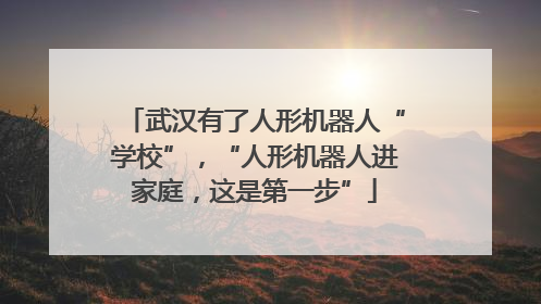 武汉有了人形机器人“学校”，“人形机器人进家庭，这是第一步”