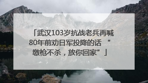 武汉103岁抗战老兵再喊80年前劝日军投降的话 “缴枪不杀，放你回家”