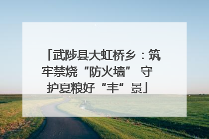 武陟县大虹桥乡：筑牢禁烧“防火墙” 守护夏粮好“丰”景