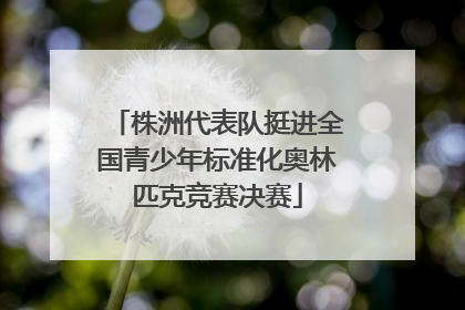 株洲代表队挺进全国青少年标准化奥林匹克竞赛决赛